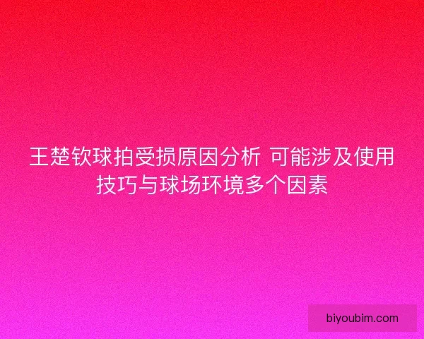 王楚钦球拍受损原因分析 可能涉及使用技巧与球场环境多个因素