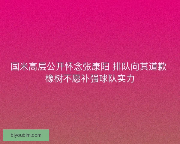 国米高层公开怀念张康阳 排队向其道歉 橡树不愿补强球队实力