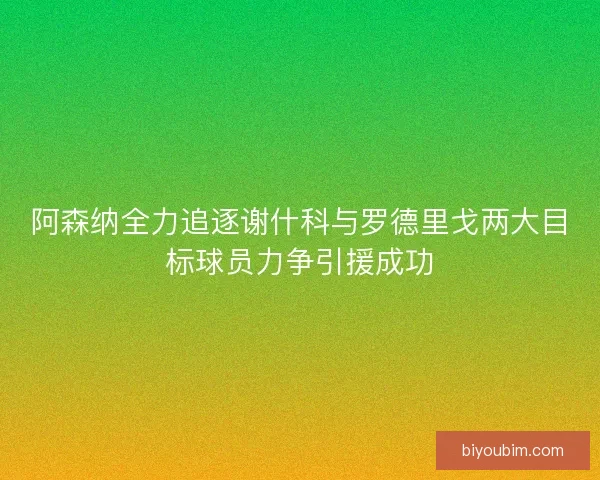 阿森纳全力追逐谢什科与罗德里戈两大目标球员力争引援成功